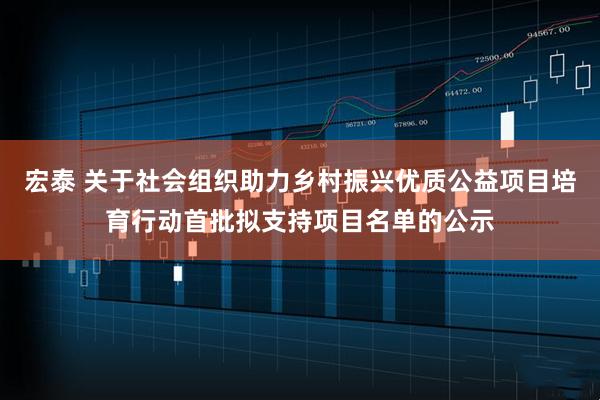 宏泰 关于社会组织助力乡村振兴优质公益项目培育行动首批拟支持项目名单的公示