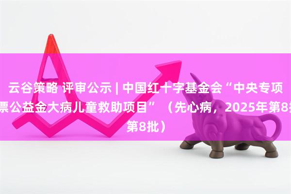 云谷策略 评审公示 | 中国红十字基金会“中央专项彩票公益金大病儿童救助项目” （先心病，2025年第8批）