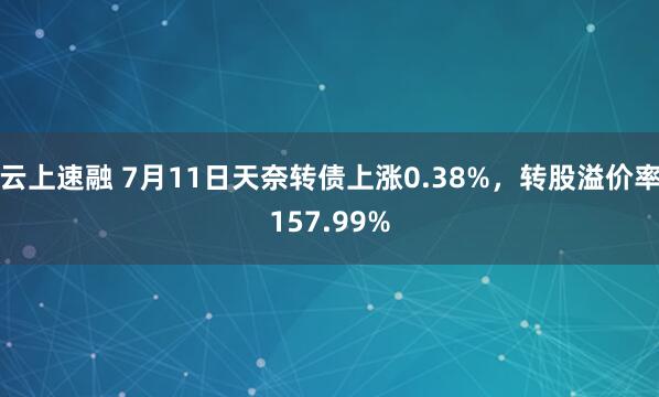 云上速融 7月11日天奈转债上涨0.38%，转股溢价率157.99%