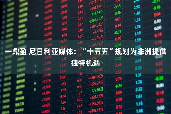 一鼎盈 尼日利亚媒体：“十五五”规划为非洲提供独特机遇